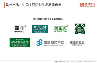 《艾媒报告深度解读 脱发保健行业趋势与消费行为演变（2019-2021）》